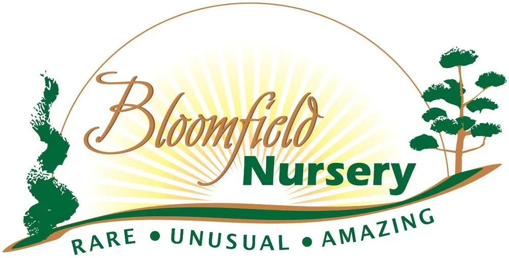 Professional outdoor landscaping for residential properties across Roaring Spring, PA - Bloomfield Nursery