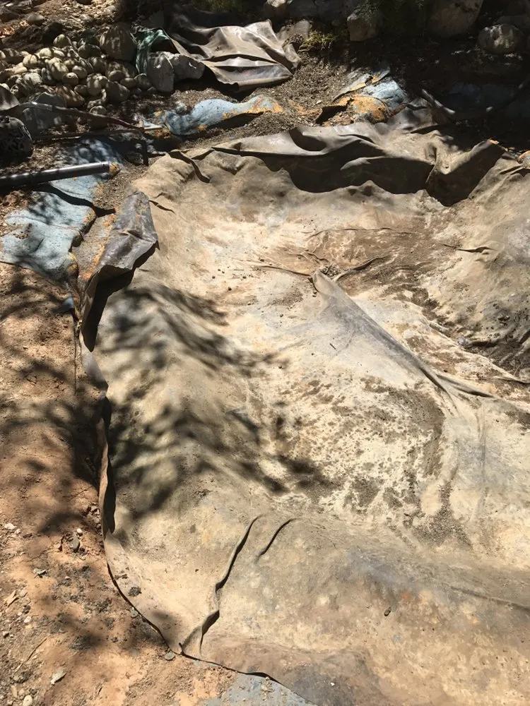 Trusted landscaping services for homes in Copperopolis, CA by Bloomica Landscaping