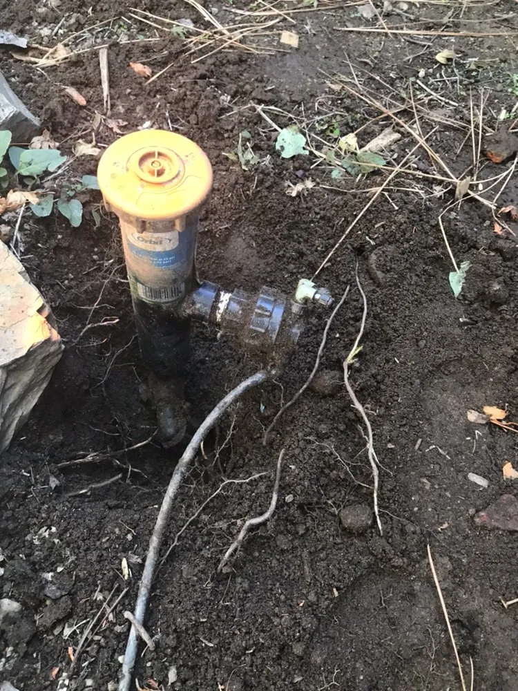 Custom landscaping services experts serving Copperopolis, CA - Bloomica Landscaping