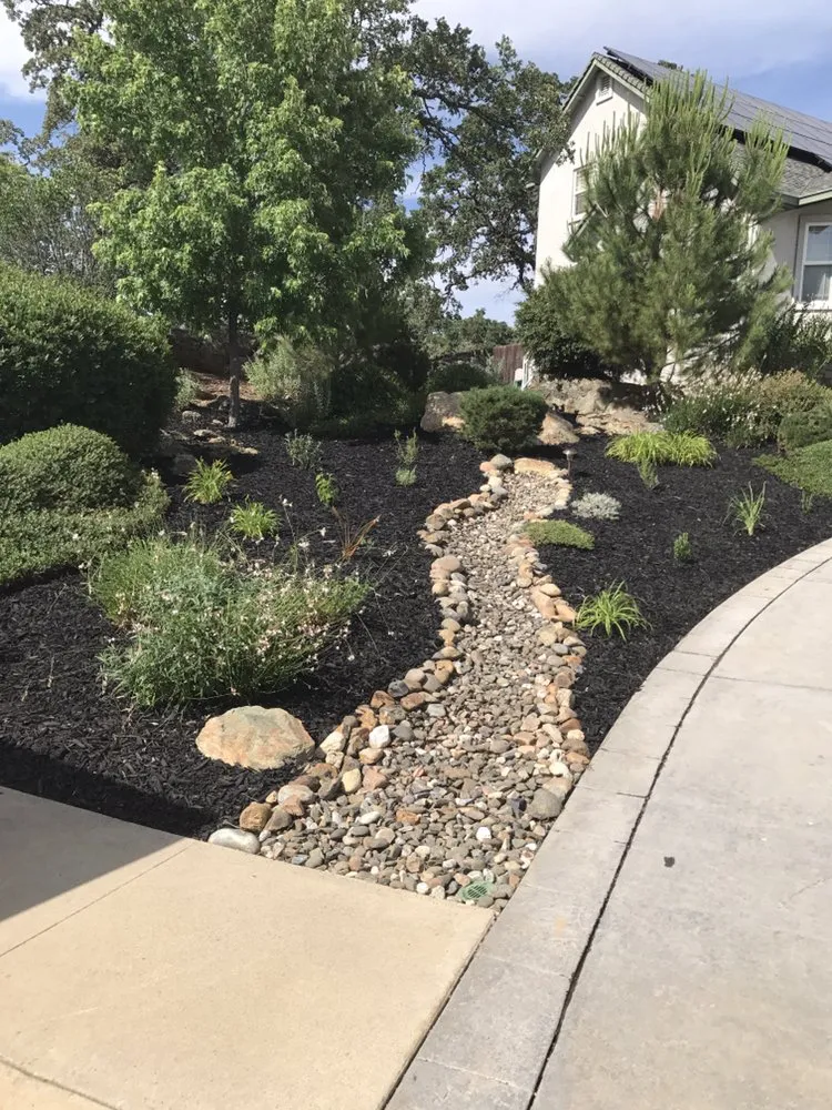 Top-rated lawn care service near you in Copperopolis, CA by Bloomica Landscaping