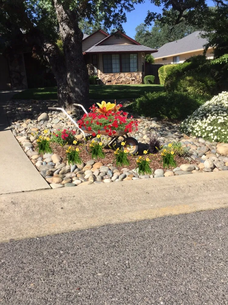 Affordable landscaping services in Copperopolis, CA by Bloomica Landscaping