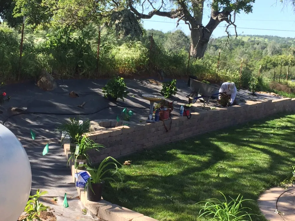 Reliable lawn care service experts serving Copperopolis, CA - Bloomica Landscaping