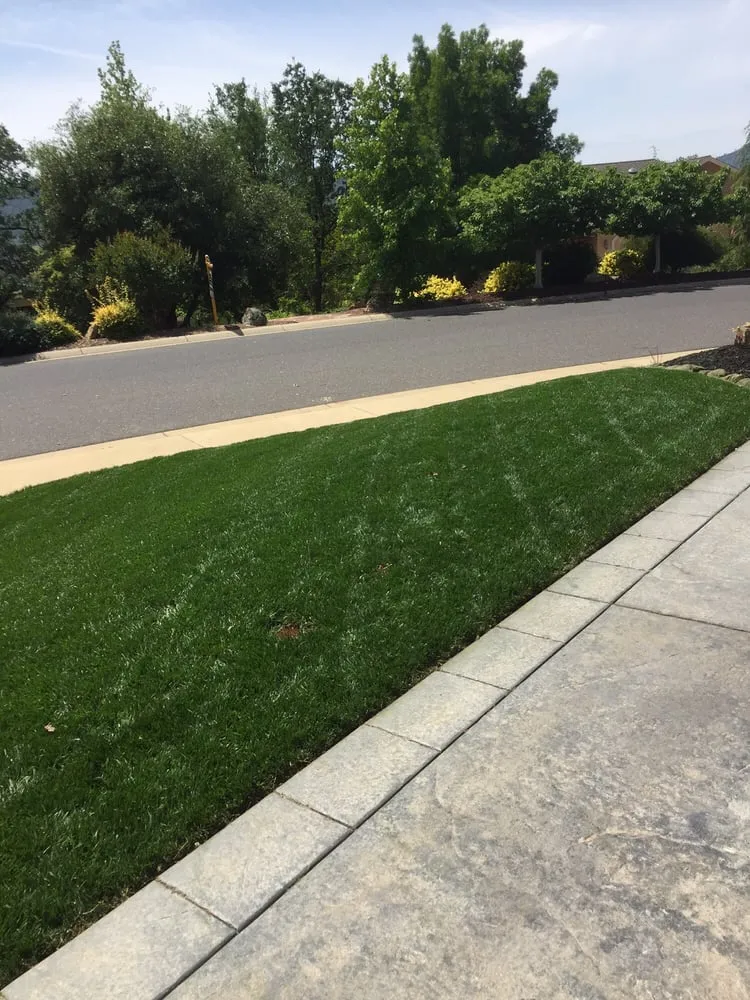 Expert landscape design in Copperopolis, CA by Bloomica Landscaping