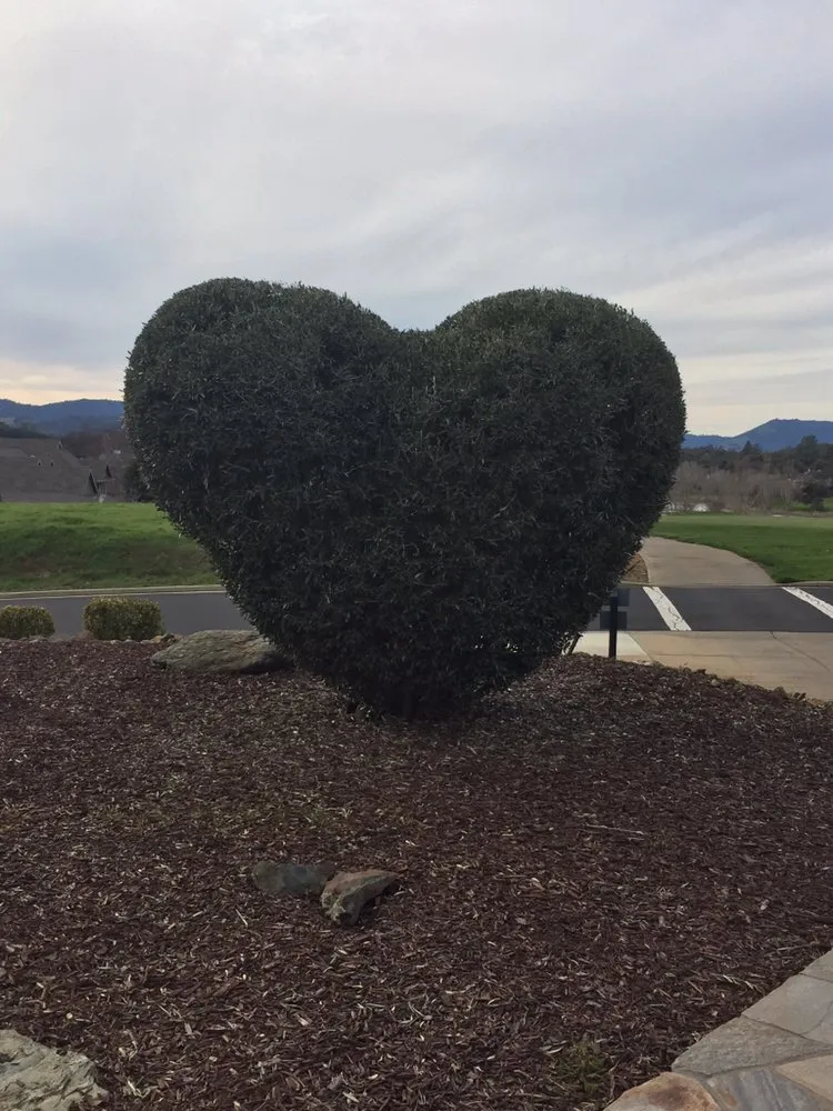 Affordable lawn care service for year-round maintenance across Copperopolis, CA - Bloomica Landscaping