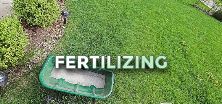 Professional landscape design for outdoor upgrades across Copperopolis, CA - Bloomica Landscaping