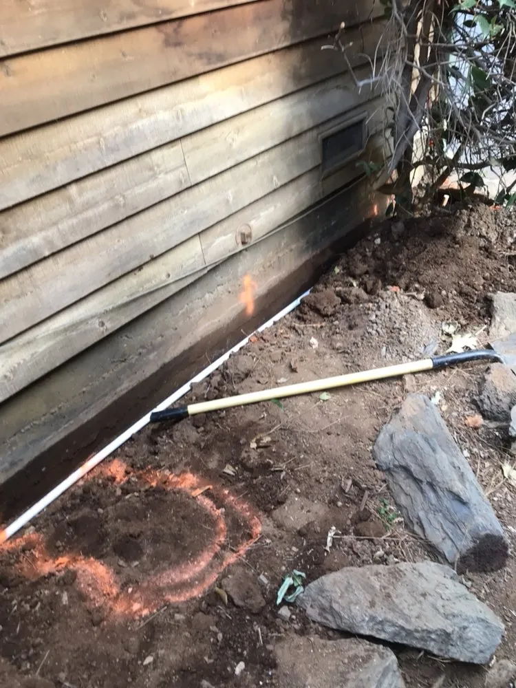 Affordable yard cleanup service experts serving Copperopolis, CA - Bloomica Landscaping