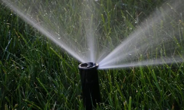 Reliable landscaping services in Copperopolis, CA by Bloomica Landscaping