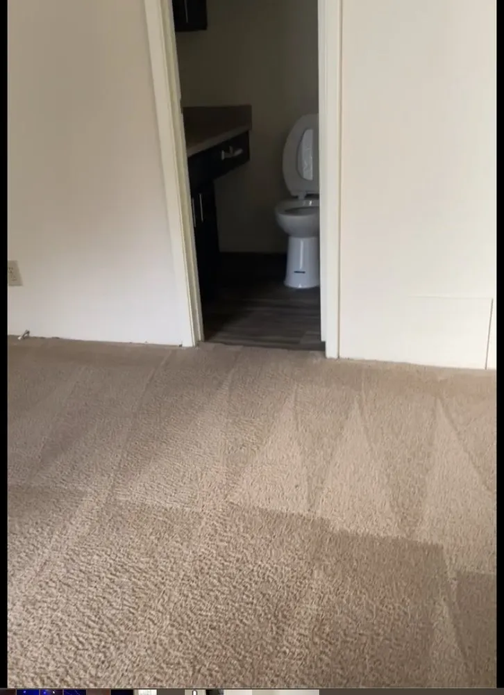 Trusted lawn mowing service experts serving Clayton, NC - Bloomies Lawn And Cleaning