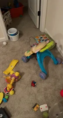 Bloomies Lawn And Cleaning Logo