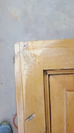 Local yard maintenance for residential properties across El Cajon, CA - Bloomination