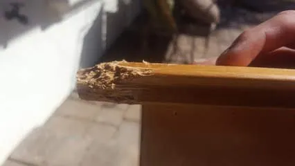 Top-rated landscape design in El Cajon, CA - Bloomination