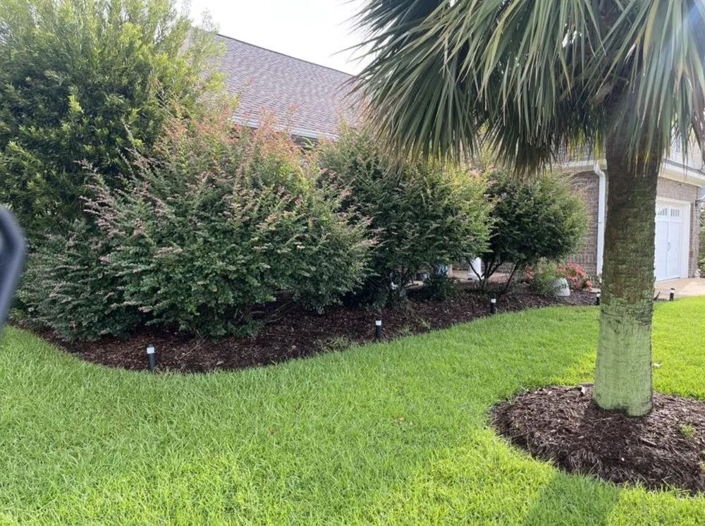 Affordable yard cleanup service experts serving Leland, NC - Blooming & Outdoor Landscaping