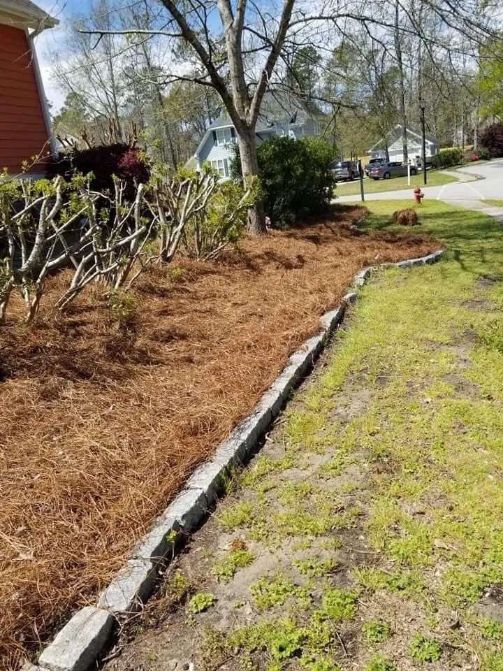 Custom lawn care service for year-round maintenance in Leland, NC by Blooming & Outdoor Landscaping