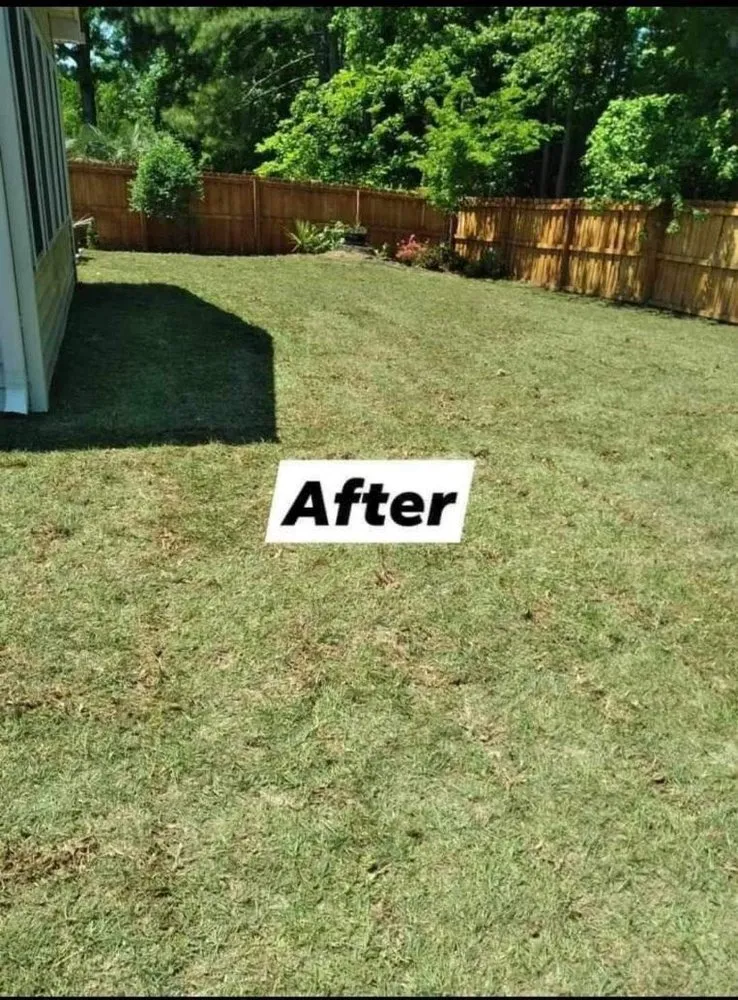 Local landscape installation in Leland, NC - Blooming & Outdoor Landscaping