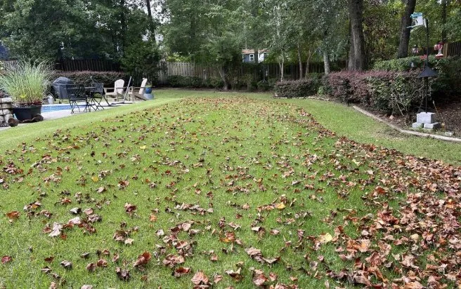 Trusted yard maintenance in Leland, NC - Blooming & Outdoor Landscaping