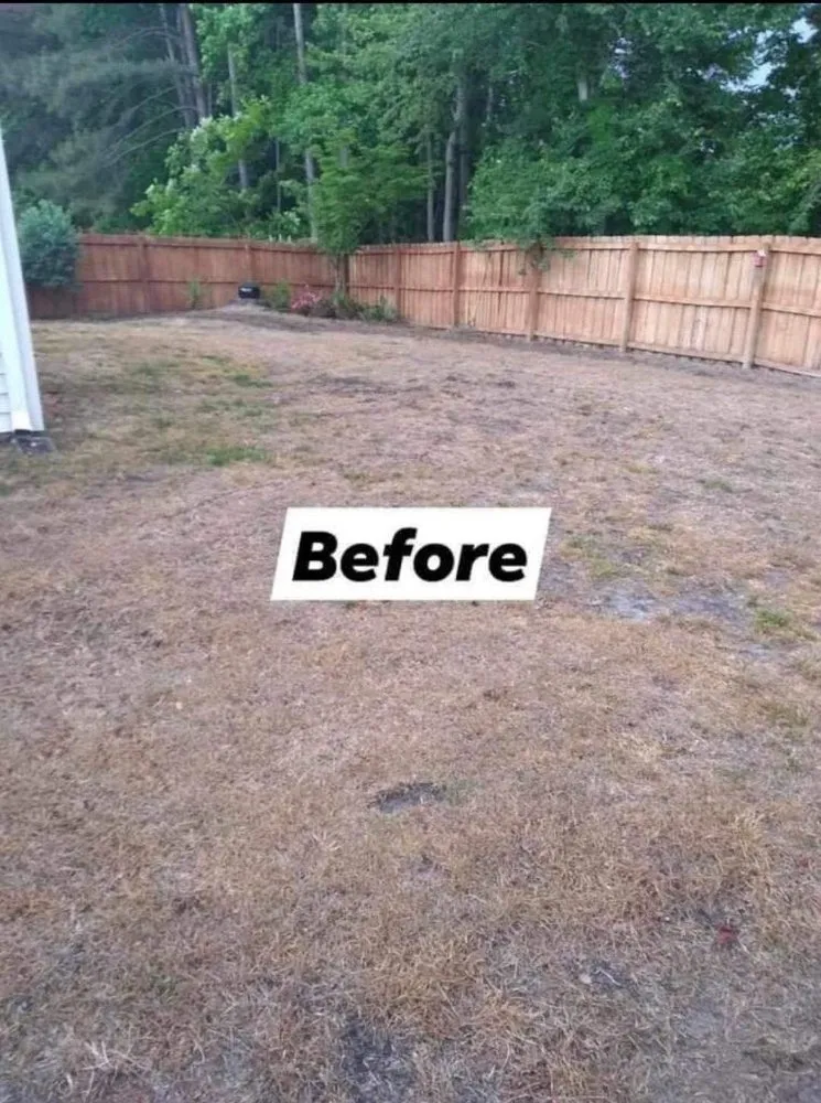 Professional landscape installation for residential properties across Leland, NC - Blooming & Outdoor Landscaping