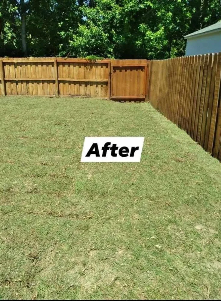 Professional landscaping services near you across Leland, NC - Blooming & Outdoor Landscaping