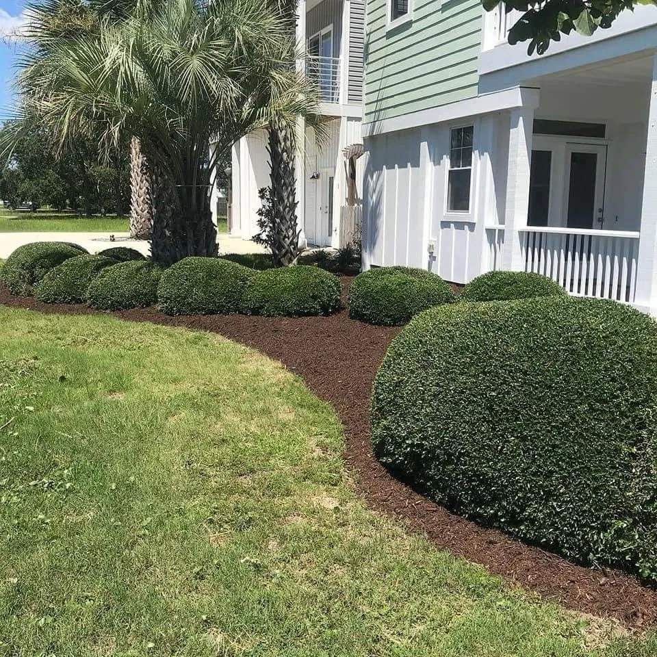 Trusted residential landscaping in Leland, NC by Blooming & Outdoor Landscaping