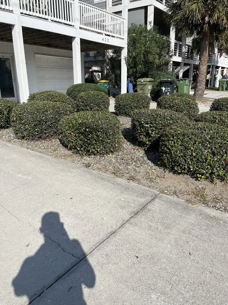 Custom residential landscaping in Leland, NC - Blooming & Outdoor Landscaping