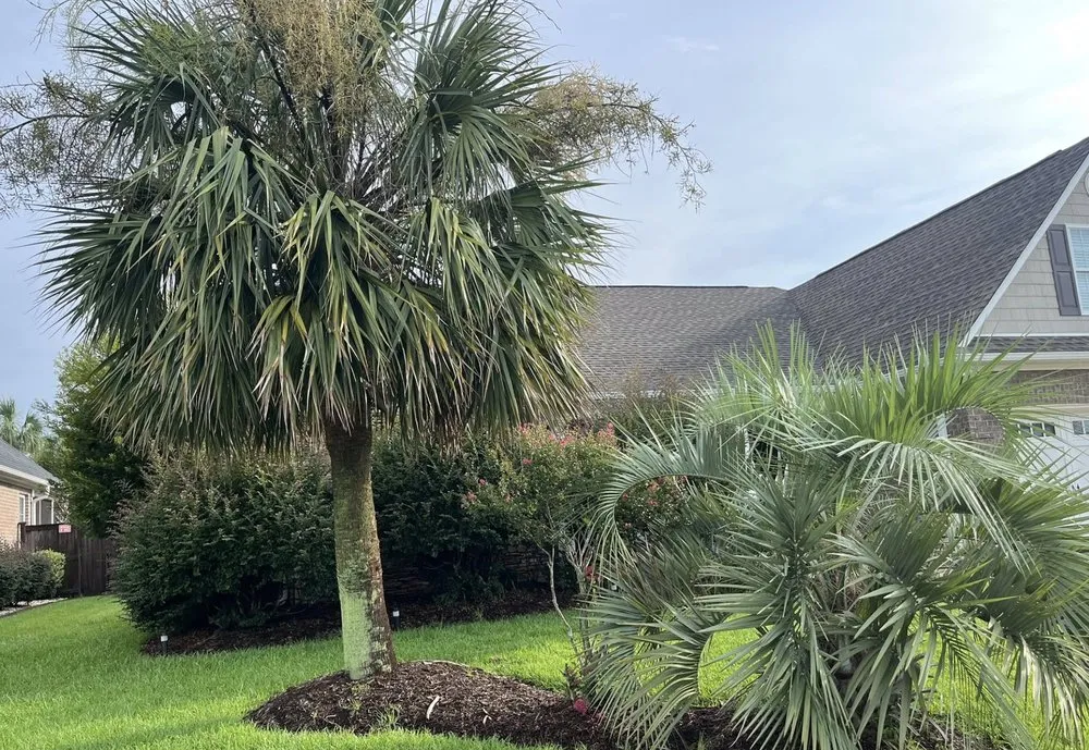 Affordable landscaping services experts serving Leland, NC - Blooming & Outdoor Landscaping