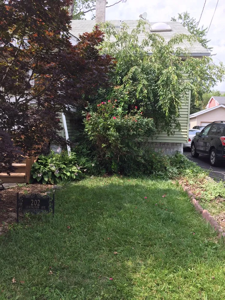 Top-rated garden landscaping for outdoor upgrades across Madison, NJ - Blooming Beds