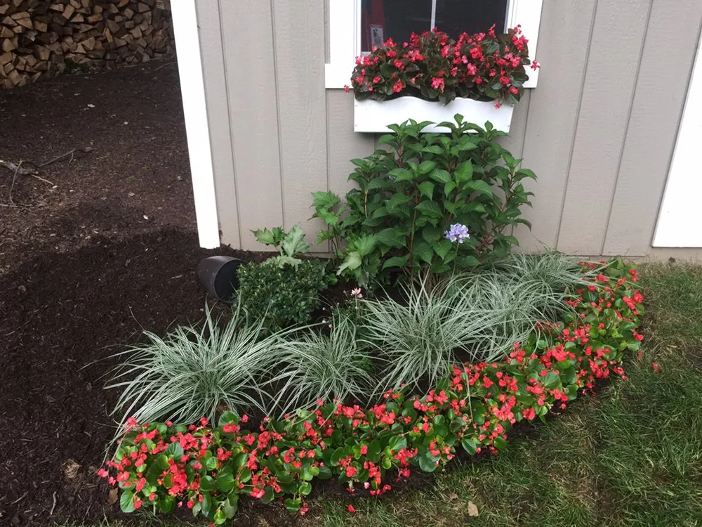 Trusted lawn mowing service experts serving Madison, NJ - Blooming Beds