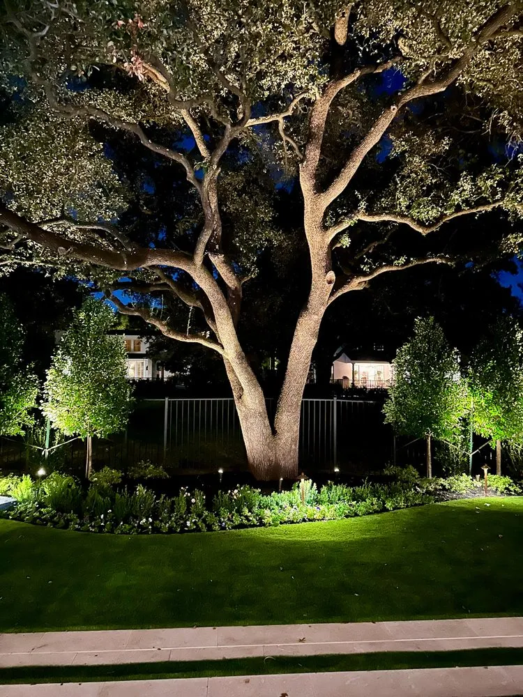 Local lawn mowing service experts serving Grapevine, TX - Blooming Colors Nursery