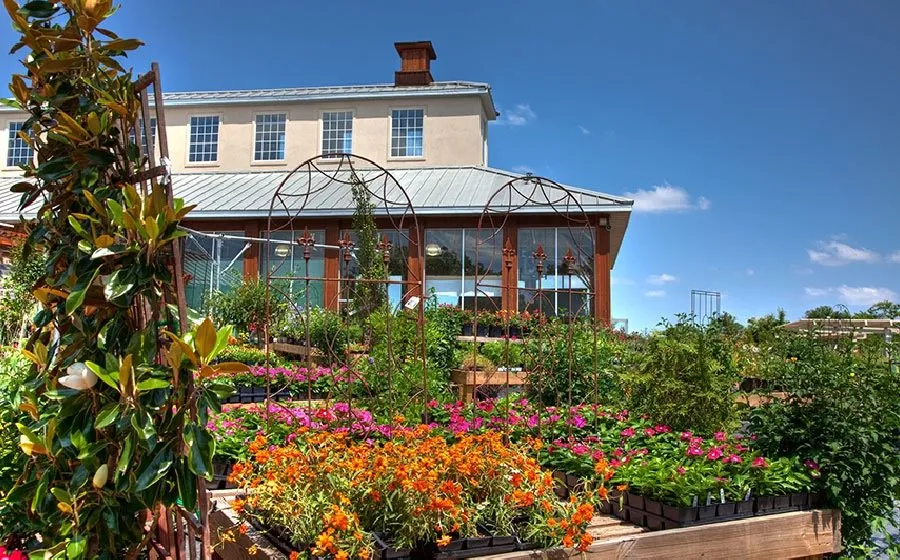 Top-rated yard maintenance in Grapevine, TX - Blooming Colors Nursery