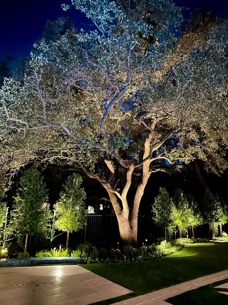 Affordable lawn mowing service experts serving Grapevine, TX - Blooming Colors Nursery