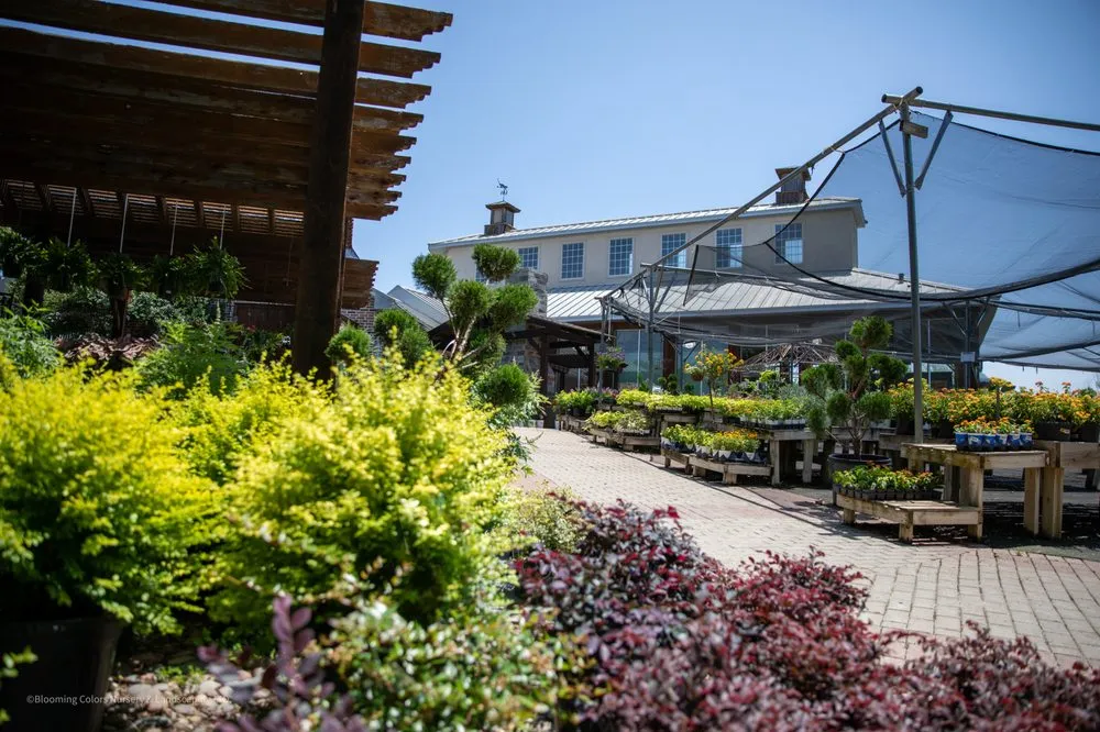 Trusted yard maintenance in Grapevine, TX - Blooming Colors Nursery