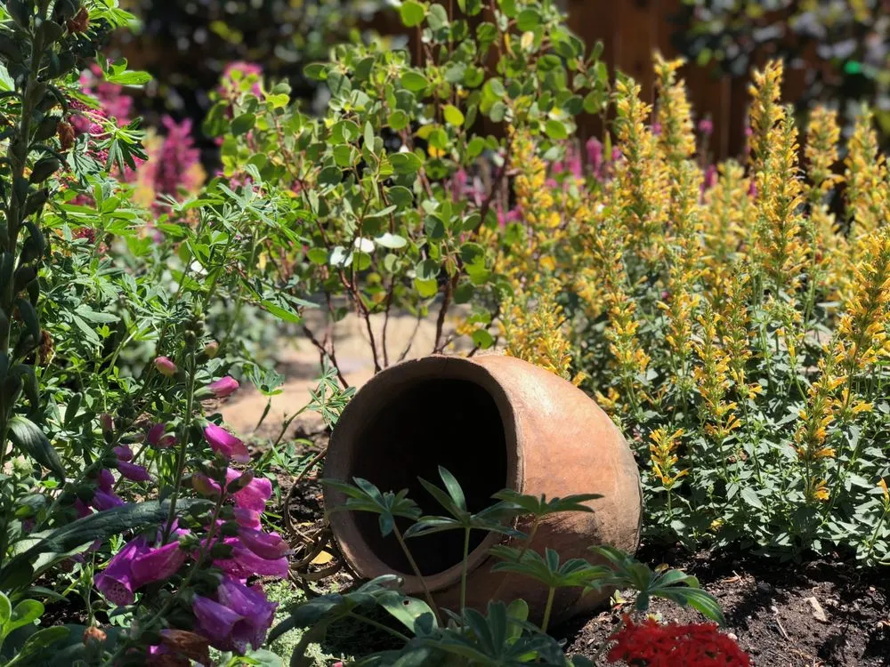 Professional outdoor landscaping in Powell Butte, OR by Blooming Desert Design + Build