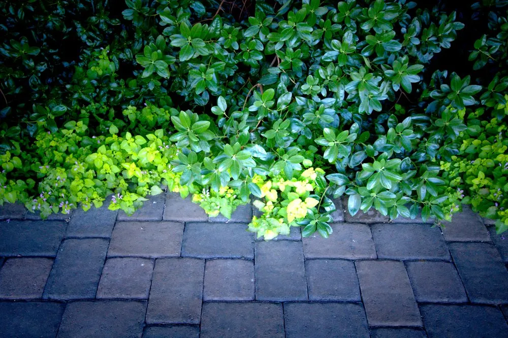 Affordable outdoor landscaping for outdoor upgrades in Powell Butte, OR by Blooming Desert Design + Build