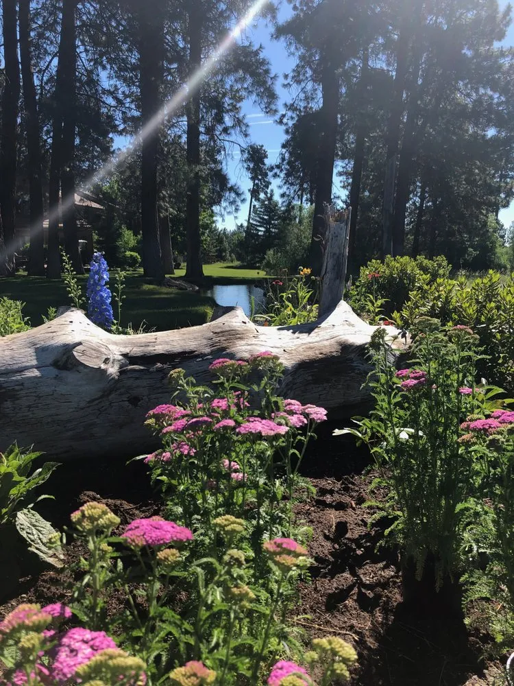 Reliable lawn care service experts serving Powell Butte, OR - Blooming Desert Design + Build
