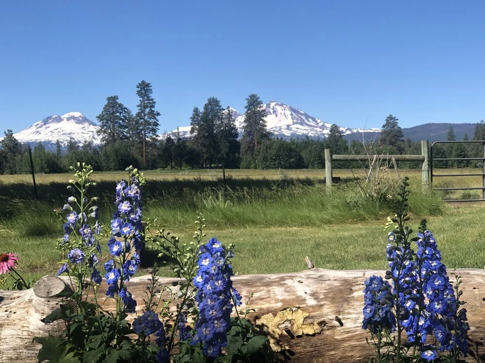 Reliable lawn care service in Powell Butte, OR - Blooming Desert Design + Build