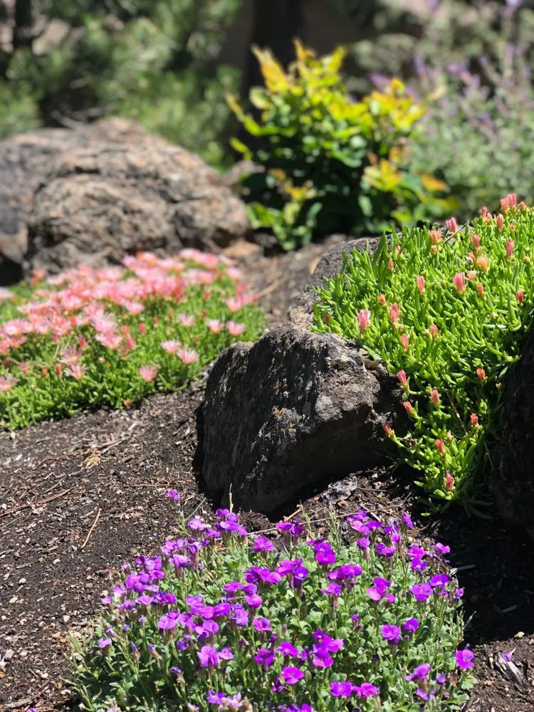 Affordable yard maintenance in Powell Butte, OR - Blooming Desert Design + Build
