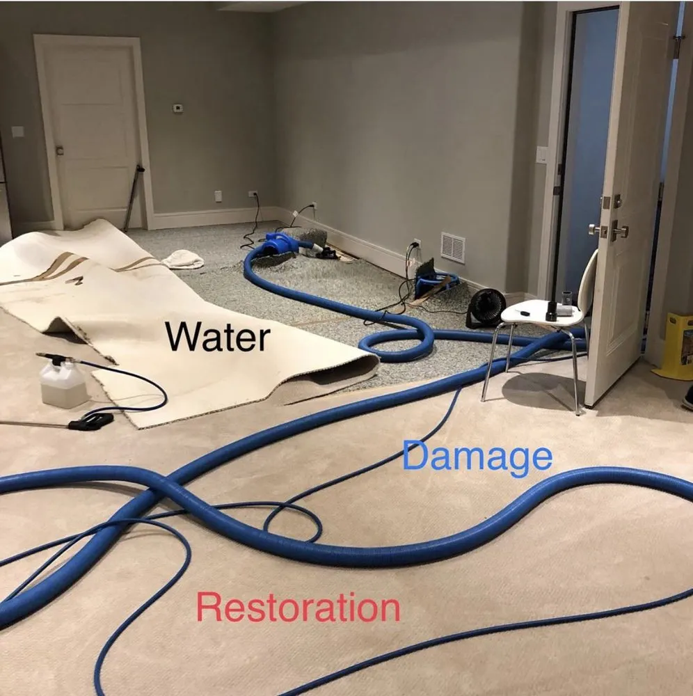 Trusted landscape installation for beautiful yards across Justice, IL - Blooming Facility