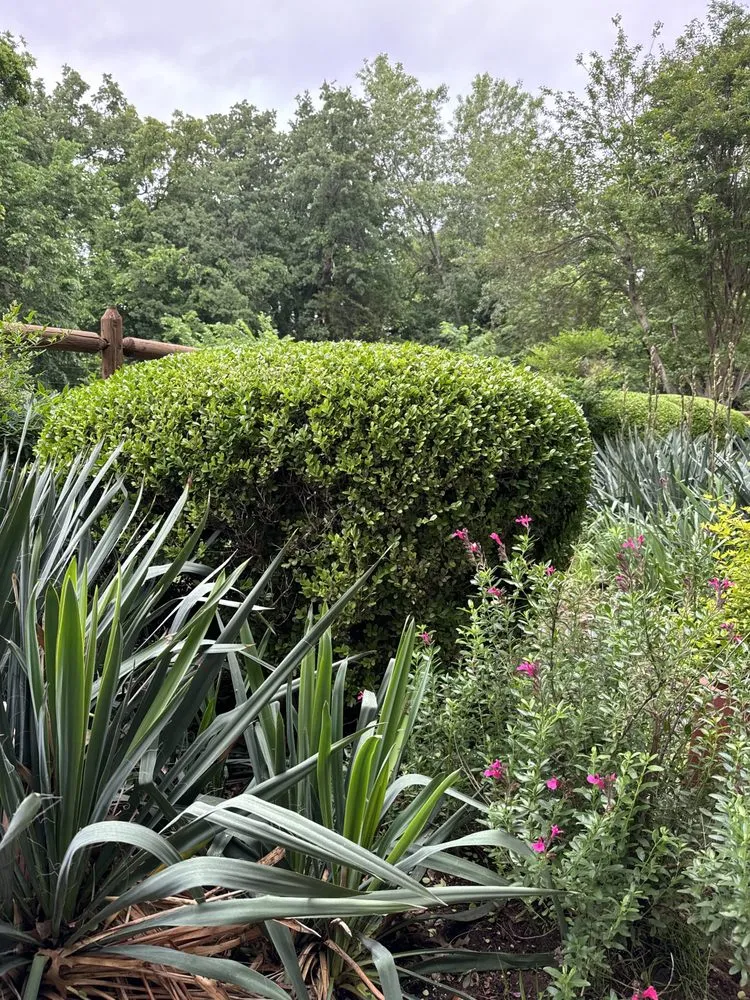 Professional outdoor landscaping in Midwest City, OK by Blooming Flowerbeds