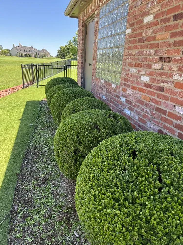 Custom yard cleanup service in Midwest City, OK - Blooming Flowerbeds