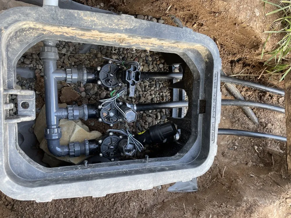 Local lawn care service in Carbondale, CO by Blooming Gardens