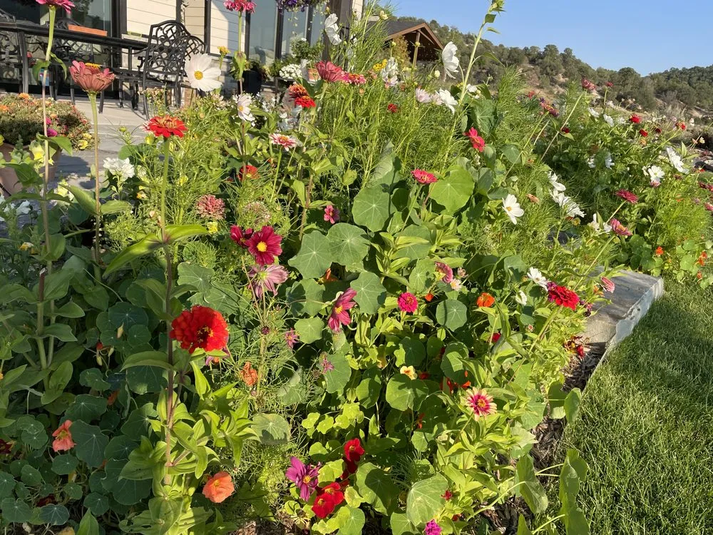 Top-rated lawn care service near you in Carbondale, CO by Blooming Gardens