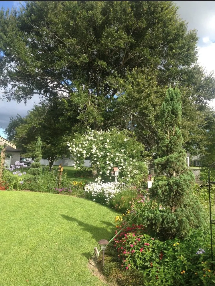 Expert residential landscaping near you across New Orleans, LA - Blooming Gardens