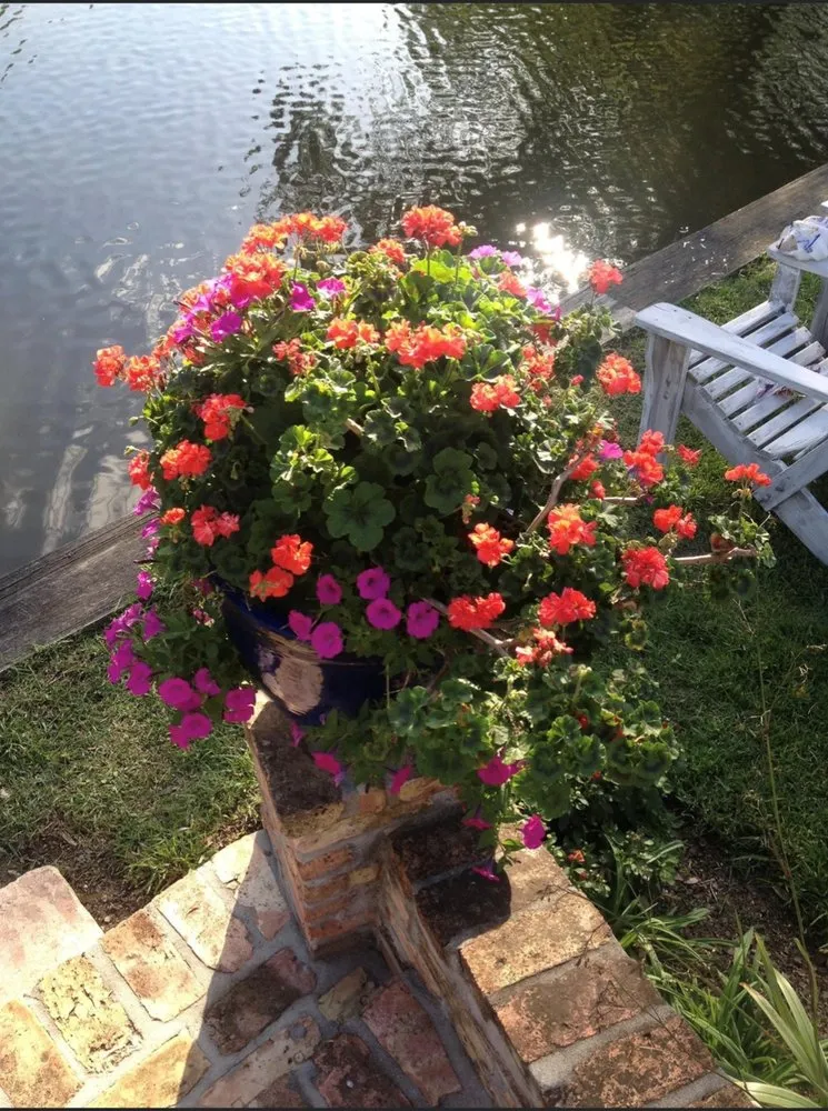 Professional landscape installation in New Orleans, LA by Blooming Gardens