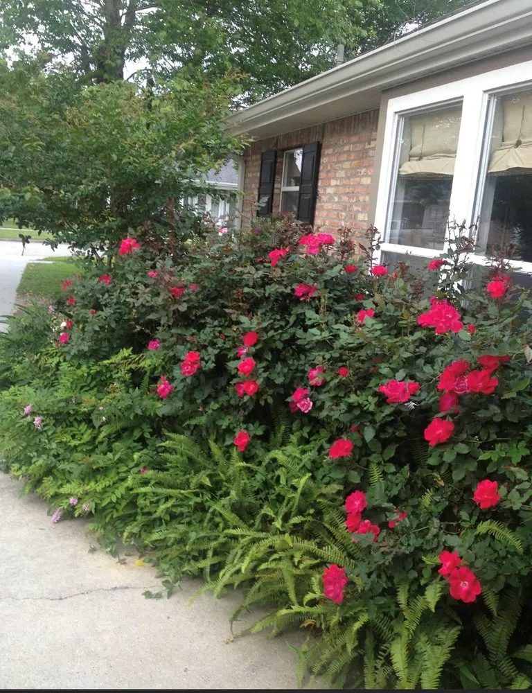 Affordable lawn mowing service for homes in New Orleans, LA by Blooming Gardens