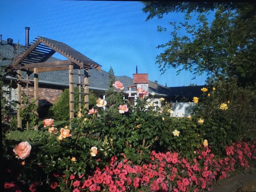 Reliable landscape design in New Orleans, LA - Blooming Gardens