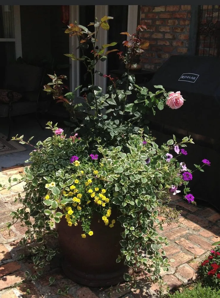 Local garden landscaping in New Orleans, LA - Blooming Gardens