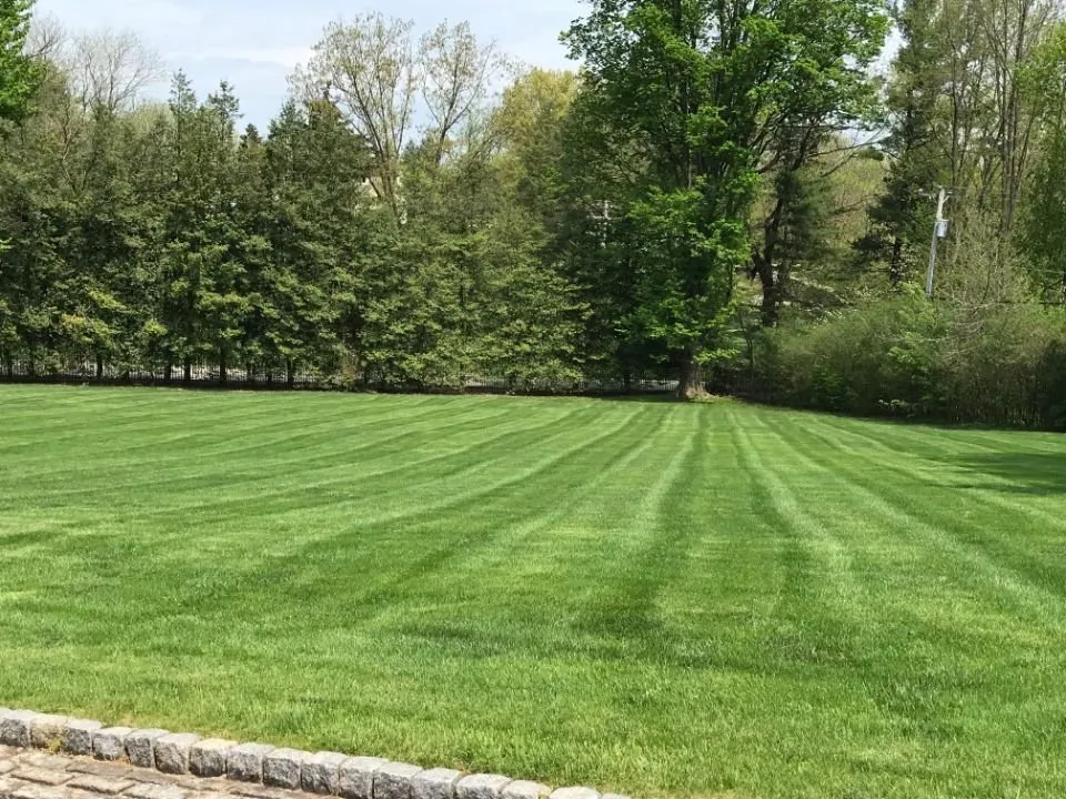 Top-rated residential landscaping in Perkasie, PA - Blooming Green Lawn & Landscape