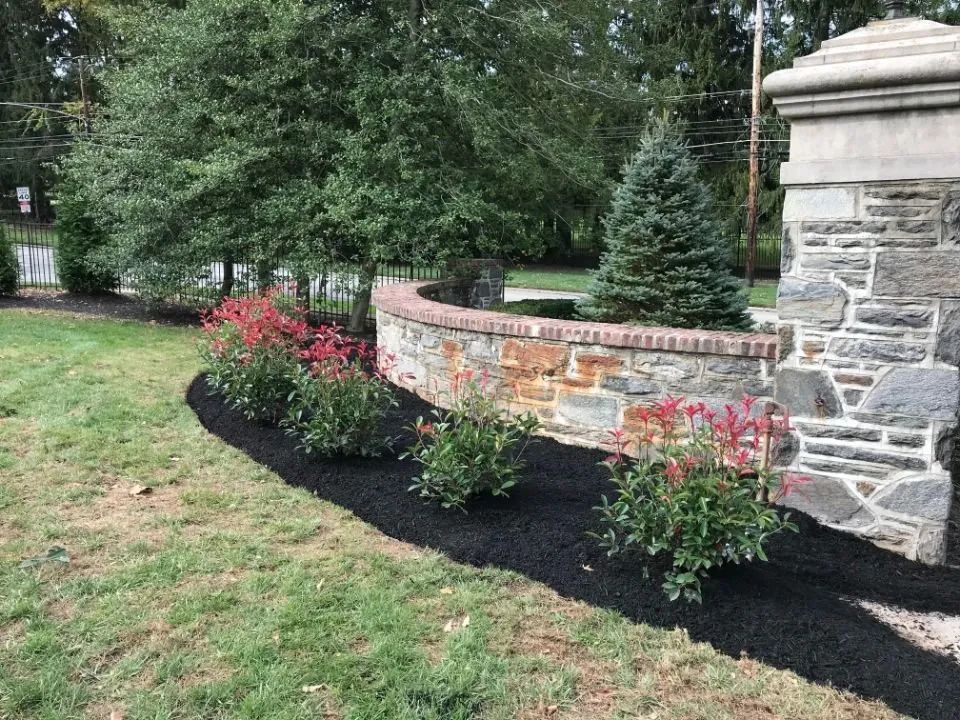 Custom yard maintenance experts serving Perkasie, PA - Blooming Green Lawn & Landscape