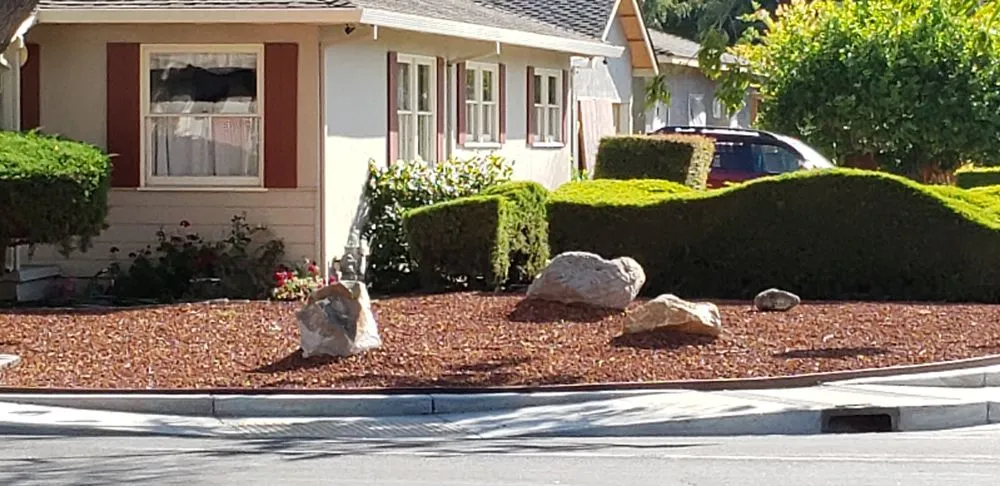 Reliable outdoor landscaping for year-round maintenance in Boulder Creek, CA by Blooming Landscape & Design