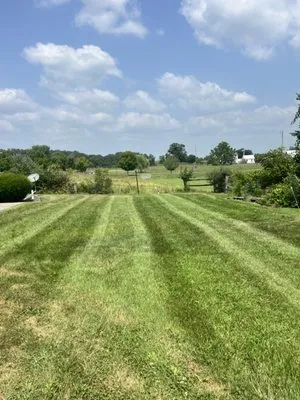 Blooming Lawn Care Logo
