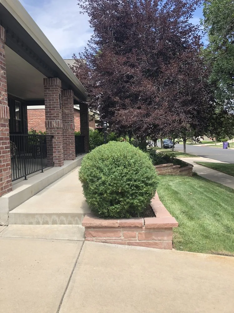 Local outdoor landscaping experts serving Denver, CO - Blooming Scapes